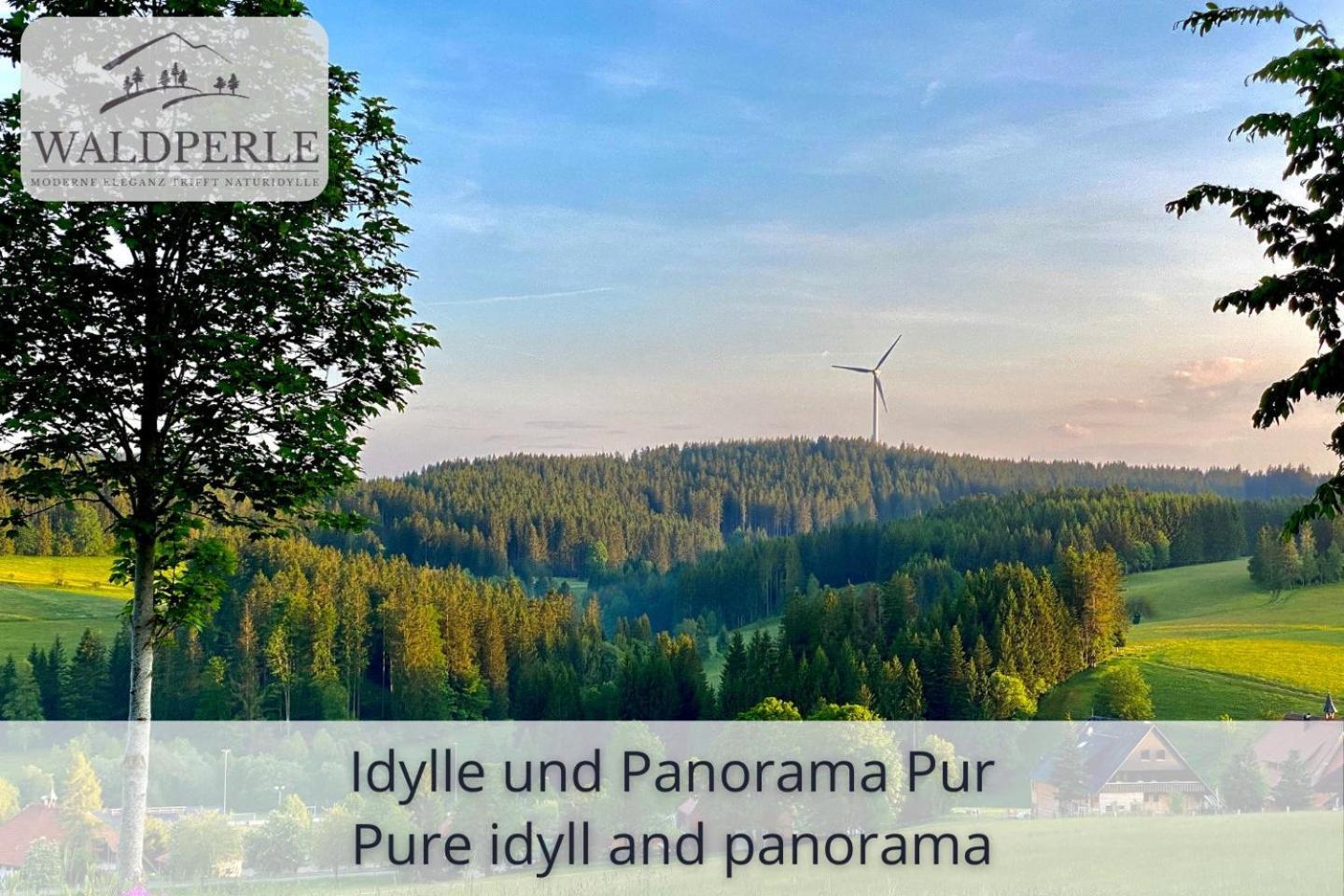 Exklusives 5-Sterne Apartment Waldperle Mit Indoor-Pool, Sauna, Top Lage Und Ausblick In Die Natur, Hunde Willkommen Schonach im Schwarzwald Exterior foto