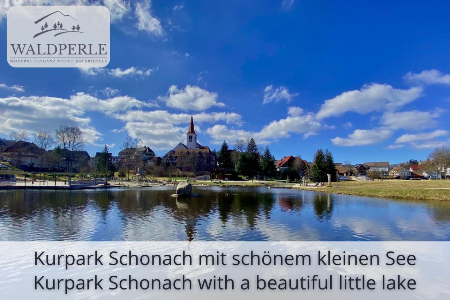 Exklusives 5-Sterne Apartment Waldperle Mit Indoor-Pool, Sauna, Top Lage Und Ausblick In Die Natur, Hunde Willkommen Schonach im Schwarzwald Exterior foto